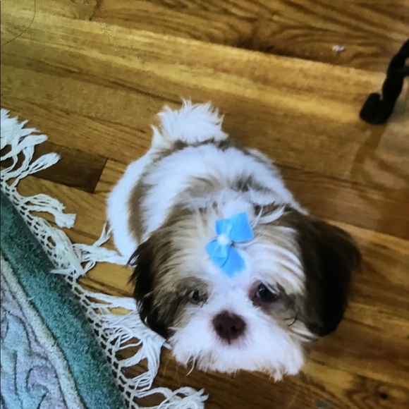 Meet your Posher, Jen - Picture 11 of 11